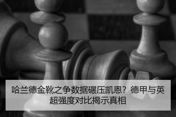 ha-lan-de-jin-xue-zhi-zheng-shu-ju-nian-ya-kai-en-de-jia-yu-ying-chao-qiang-du-dui-bi-jie-shi-zhen-xiang-2-330.jpg