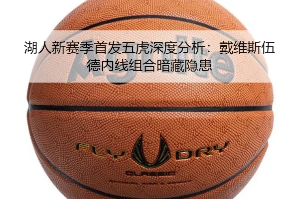 湖人新赛季首发五虎深度分析：戴维斯伍德内线组合暗藏隐患