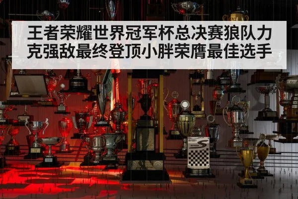 王者荣耀世界冠军杯总决赛狼队力克强敌最终登顶小胖荣膺最佳选手